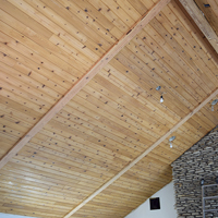 06 Wooden Ceiling