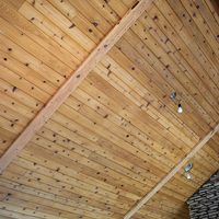 07 Wooden Ceiling
